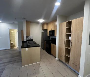 Vivenda56 at Lumino Park — Suites 1204 & 1207 - Photo 1