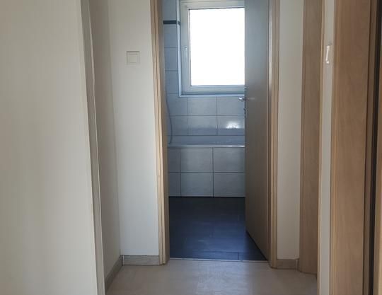 Wohnung in Obergiesing ab Feb. 26 zu vermieten, Hunde erlaubt - Photo 1