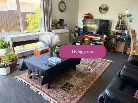 14A Conway Street | $670 weekly - Photo 5