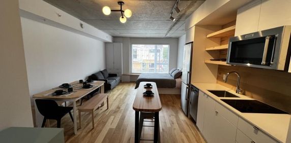 1 1/2 - Montréal - 1 490 $/mois - Photo 2