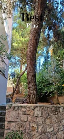 Διαμέρισμα για ενοικίαση Πηγαδάκια (Βούλα) - Φωτογραφία 4