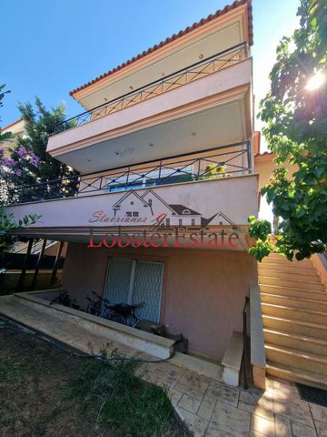 Μονοκατοικία για ενοικίαση - Νέα Μάκρη, - Photo 5