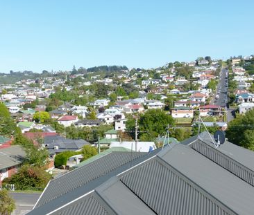 Unit A, 46 Walton Street, Roslyn, Dunedin - Photo 4