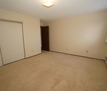 1 Bedroom - Photo 4