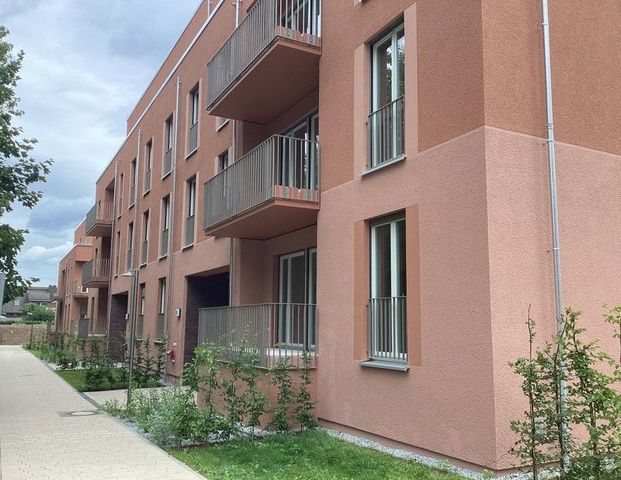 Preiswerte und praktische 2-Zimmer-Wohnung - Photo 1