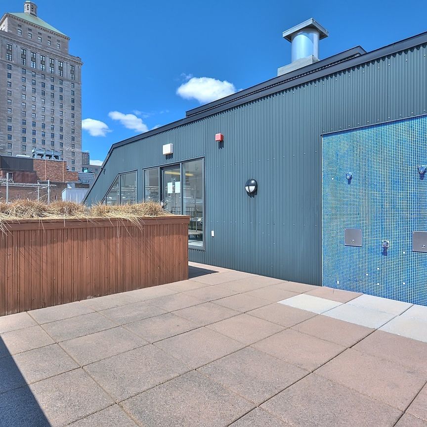 Condo for rent, Montréal (Ville-Marie) - Photo 1