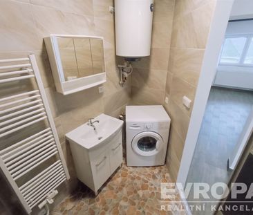Pronájem bytu 1+1 30 m², Vševily - Fotografie 5