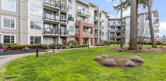 Beautiful North Facing Condo on the Top Floor - Photo 2