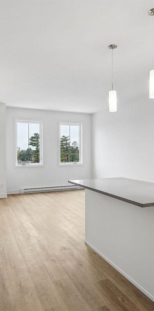SPACIOUS 2BEDROOM+DEN - 457 CHEMIN FRASER, Gatineau - Photo 1