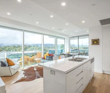 Furnished Modern Apartment in Prime Hutt Street Location - Photo 6