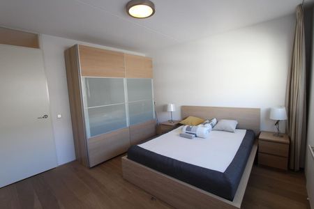 Graafschapstraat 38 1079 PE Amsterdam - Foto 3