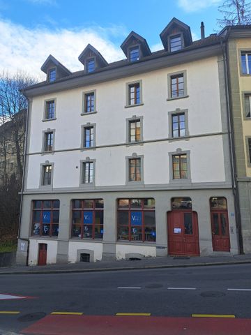 Fribourg / 1.5 rooms - Photo 3