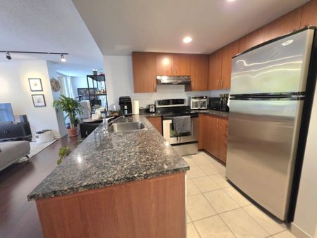 Appartement à louer - Montréal (Ville-Marie) (Centre) - Photo 3