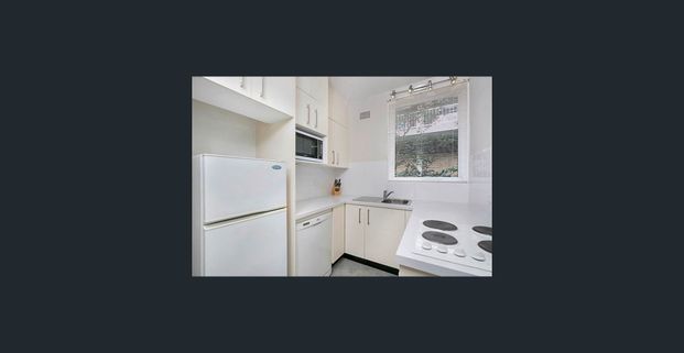 Kurraba Point Ferry Access At Your Door - 1 bedder - Photo 1