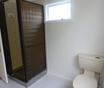 Clive Street, Akina - Photo 3