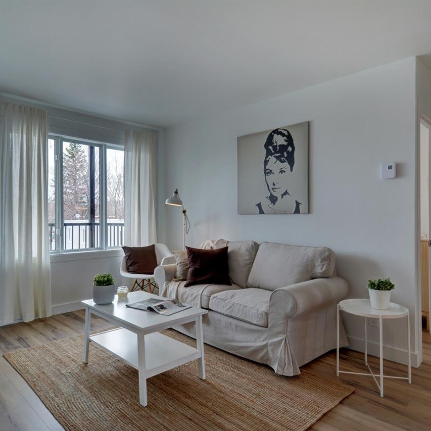 Épinettes Appartement 4 ½ à Louer Limoilou Juillet 2026 - Photo 1