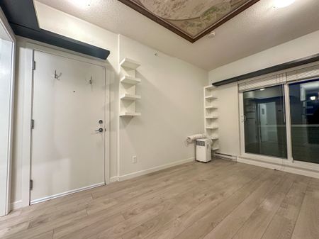 Bachelor Suite For Rent In Surrey/ Pets Allowed. - Photo 2