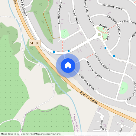 38 Puhirake Crescent, Pyes Pa