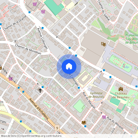 1004, Lausanne, Avenue Collonges, 11