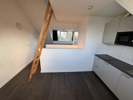 Te huur: Laan van Nieuw-Guinea, 3531 JC Utrecht - Photo 1