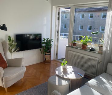 Falkenbergsgatan, Göteborg - Photo 4