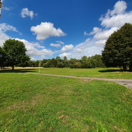 Baileys Field, Ashford - Photo 5