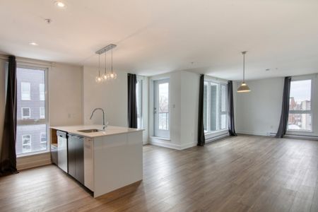9675 Av. Papineau, app.9, H2B 3C8, H2B 3C8, Montréal - Photo 3