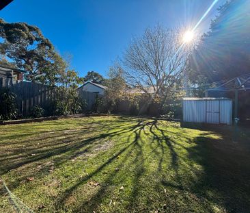 Charming Three-Bedroom House with a Huge Shed! - Photo 5