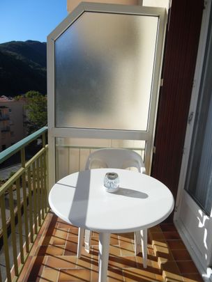 Studio 32.25 m² - 1 pièce - Amélie-Les-Bains-Palalda (66110) - Photo 1