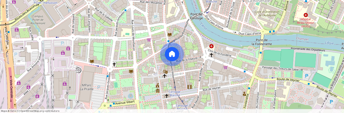 Rue Saint-Victor 11, 1227 Carouge