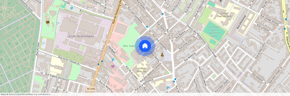 55 Rue Gustave Delory, 59155 Faches-Thumesnil