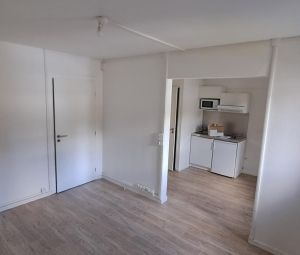 Location Appartement à L'Alpe d'Huez - Photo 5