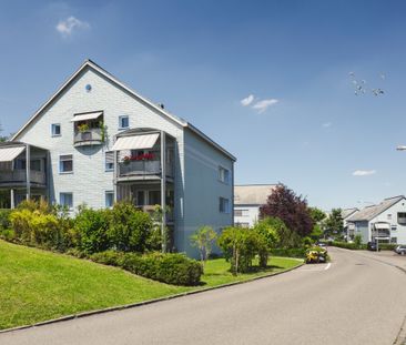 3 ½ Zimmer-Wohnung in Adliswil mieten - Photo 5