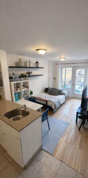 Studio - Montréal - $950 /mo - Photo 1