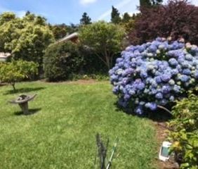 House for rent. Close to hospital and city - Photo 6