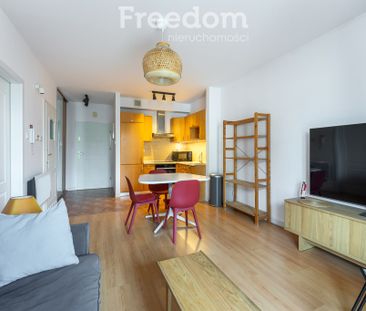 Piaseczyński, Piaseczno, Józefosław, Alaski - Photo 2