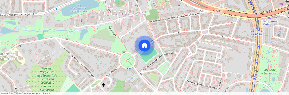 Rue des Tritomas 1170 Watermael-Boitsfort