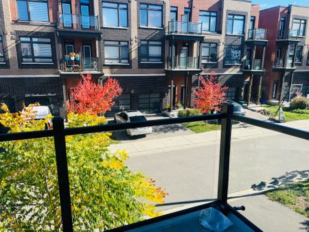 For Lease - 271 Dalhousie Street, Vaughan, Ontario - Photo 4