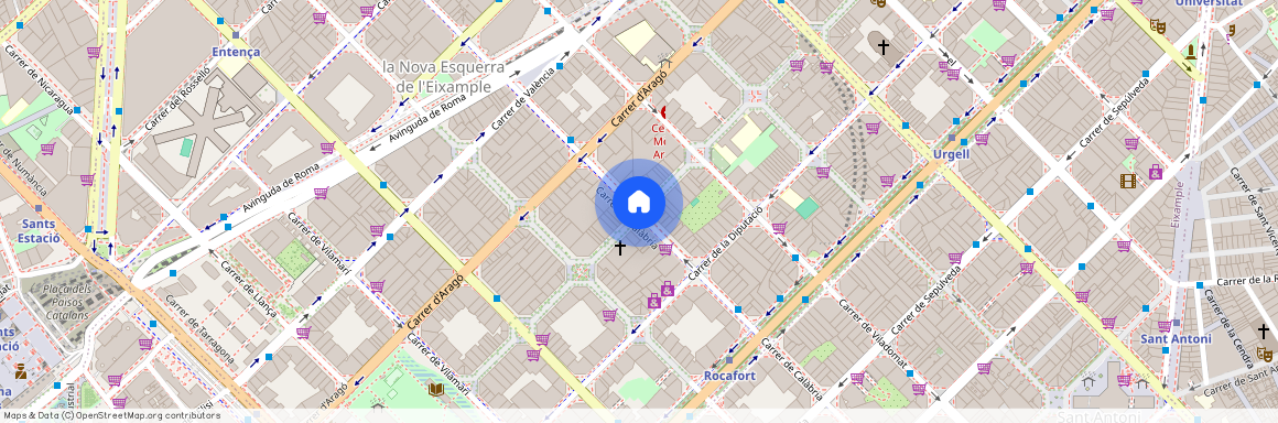 Carrer del Consell de Cent, Barcelona, Catalonia 08015