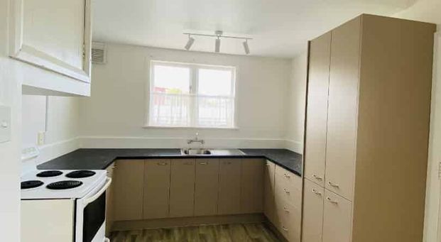 Bright & Newly Renovated Ã¢ÂÂ Central Pahiatua Living - Photo 1