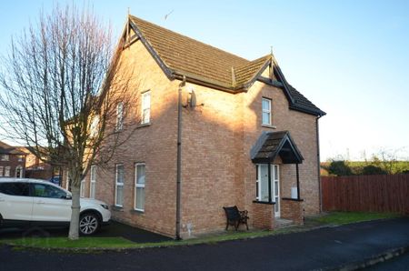 206 Belvedere Manor, Lurgan, BT67 9NX - Photo 4