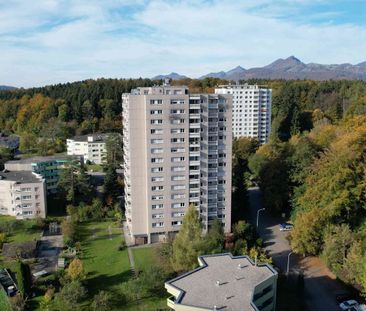 2.5 Zimmer, 63 m², 9. Stock - Foto 6