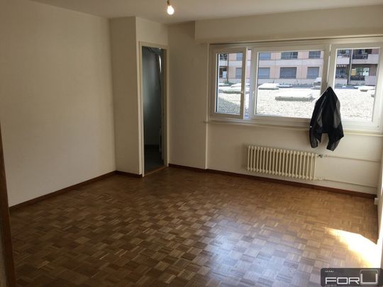 Bel appartement rénové de 3 pièces au calme à Carouge - Photo 1