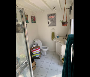 21 Cecil Street, Fitzroy, VIC - Photo 6