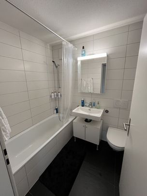 APPARTEMENT DE 2 PIÈCES À SCHLIEREN (ZH), MEUBLÉ, TEMPORAIRE - Photo 1