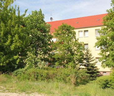 Modernisierte 2-Zimmer-Wohnung in Roggosen - Photo 3