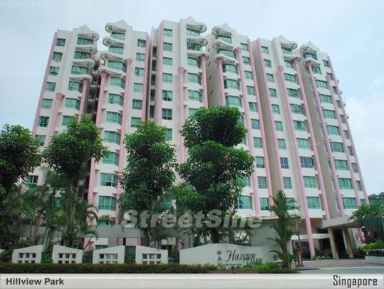 Hillview Park (D23), Condominium - For Rent - Photo 1