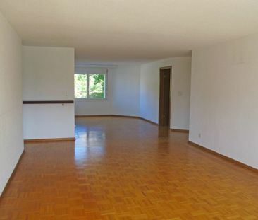 Sophisticated living with a wonderful view of Lake Constance - Photo 1
