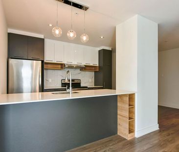 9675 Av. Papineau, Montréal, QC - Photo 3