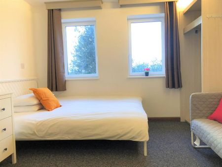 Studio to rent - Photo 5